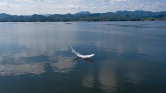 千岛湖光影艺术双年展：湖面点亮“光影万象”