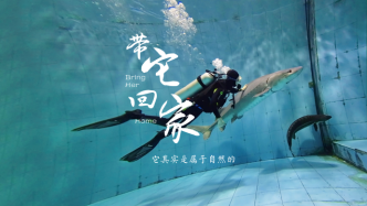 百姓話思想⑨｜保護長江，盼它回家：這條魚來自1.4億年以前
