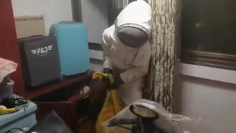 家中有蜂巢，居民报警后消防取出30斤蜜