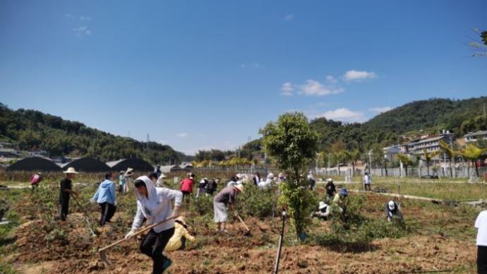 云南农大“招生减章”视频拍摄学生：希望把种植技术带回家乡