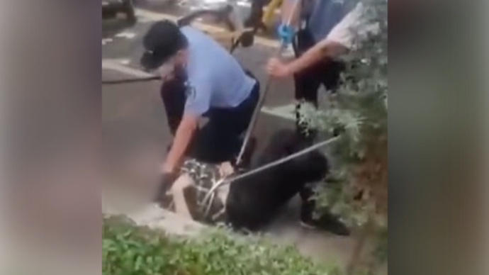 上海一男子因工作矛盾持刀伤人，已被警方抓获