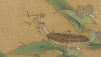 台北故宫大型特展“草虫捉迷藏”：寻找古画里的虫迹