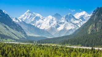 国家林草局：将引导和支持新疆充分发挥林草资源优势，科学发展经济林