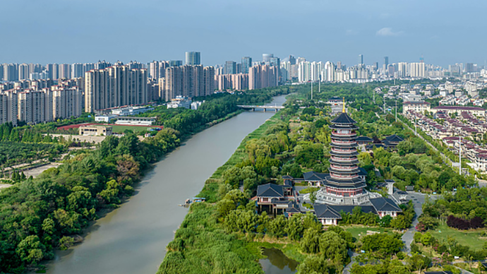 江苏淮安花卉基地