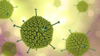 英美最新研究：不明原因肝炎被调查儿童中，九成病例测出腺病毒