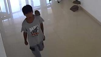 路邊發現貓頭鷹幼崽，少年肩“扛”著到派出所求助