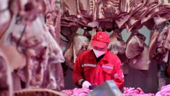 我国上半年猪牛羊禽肉产量4519万吨，同比增长5.3%
