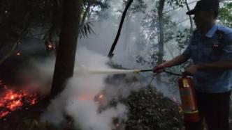 杭州一处山林遭雷击起火，两名警员顶着高温灭火后中暑