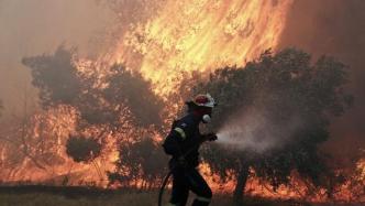 欧洲热浪加剧地表臭氧污染，多地处于“极端火灾危险”