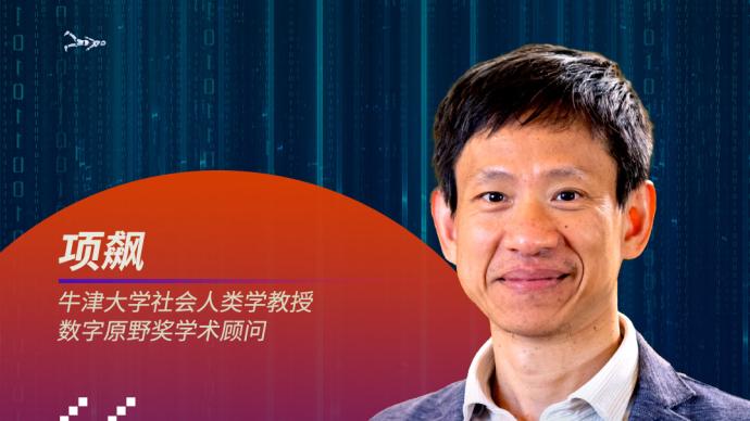 數字時代之問｜項飆：我們在感知表情還是表情包