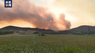 希腊达迪亚国家森林公园火势持续多日，灭火工作困难