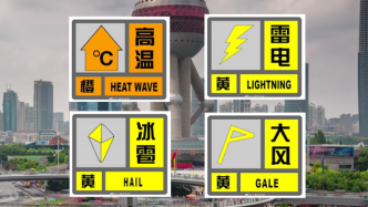 “一橙+三黄”预警高挂！上海发布冰雹黄色预警信号