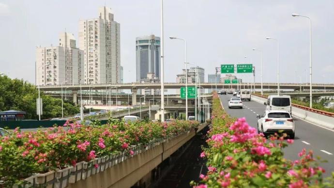 進博會倒計時｜上海部分越江橋隧、道路等設施將整體提升