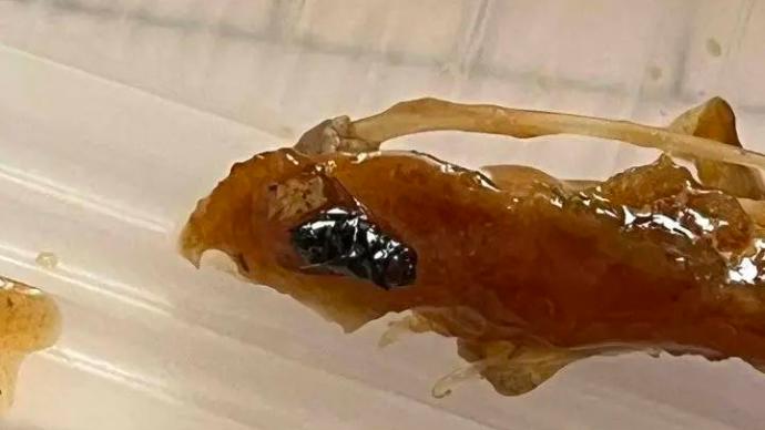 谁卖了我的隐私:济南一顾客微博投诉吃出苍蝇,被店家敲门