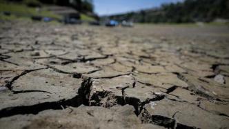 法国93个省份进入干旱预警状态