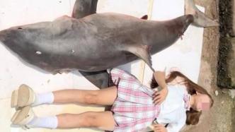 网红博主疑烹食噬人鲨被举报，警方：确系噬人鲨，正深入调查
