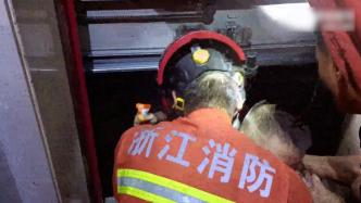 男童被困“蒸笼”电梯浑身湿透，消防火速解救