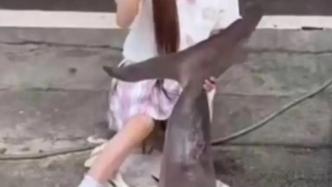 南充农业局回应“网红从京东购买大白鲨”：与案件事实不符
