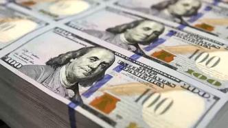 多国专家呼吁重塑国际金融体系，打破“美元霸权”