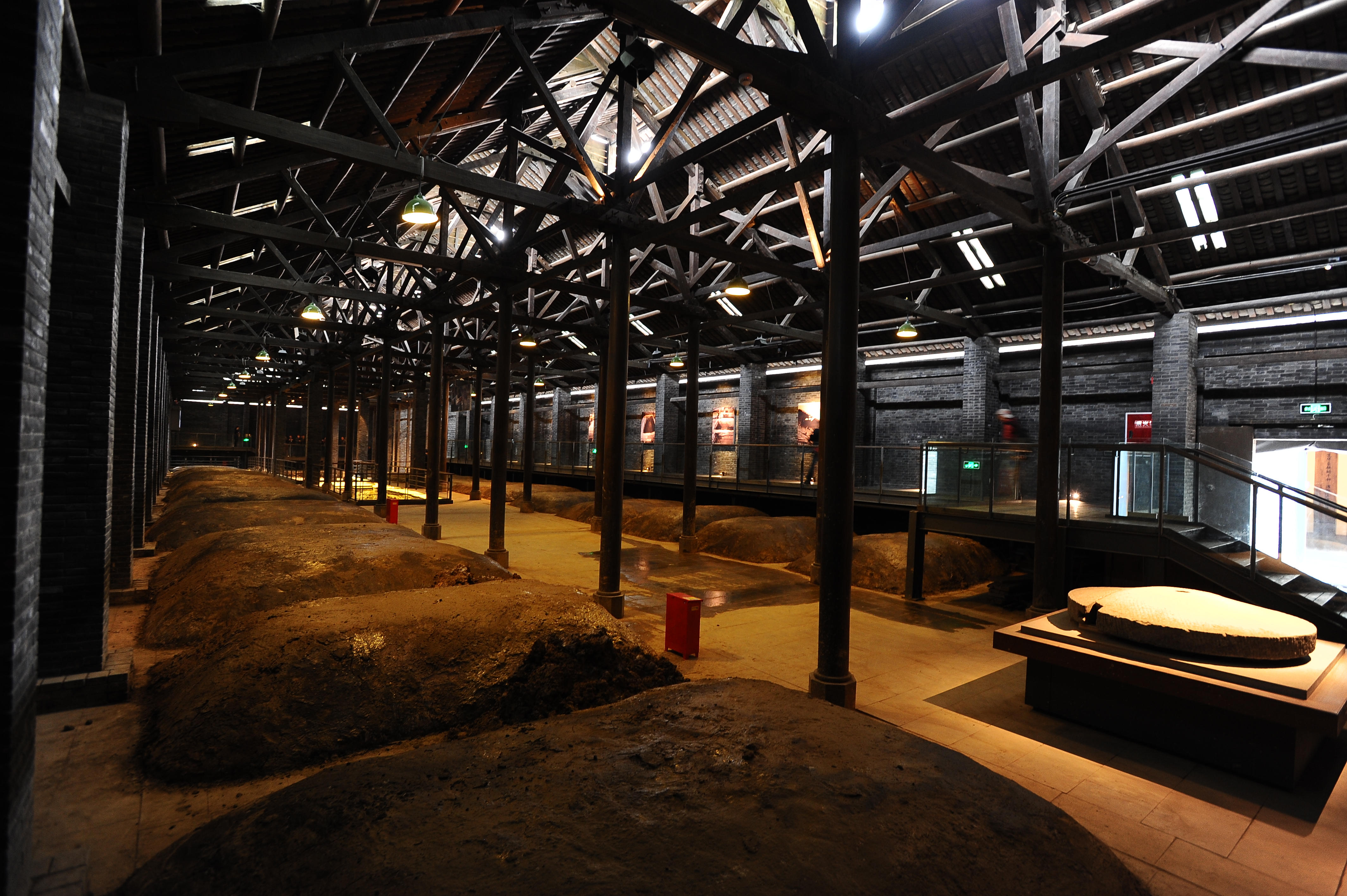 水井坊一号菌群科研报告发布独有菌群18个新菌种近20个