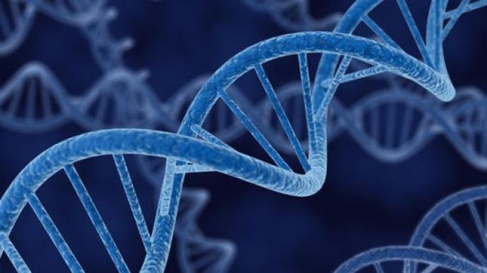 這項研究歷時4年，基因組重編碼邁出“抗病毒”第一步