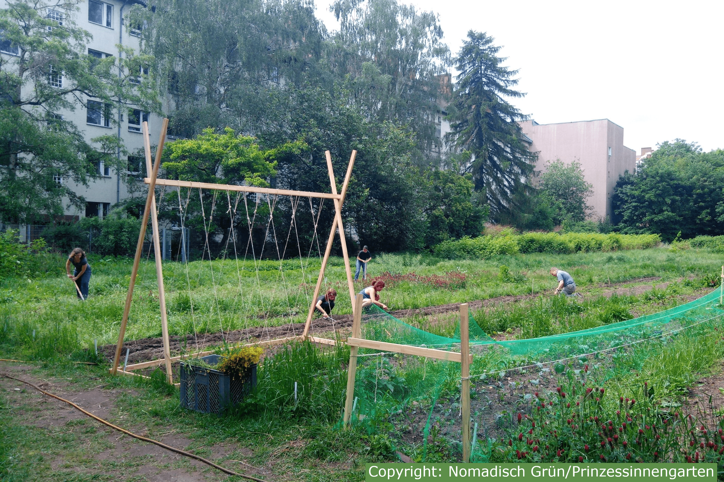 每年3月到10月是公主花园的园艺季，开放日会向所有感兴趣的公众提供参与城市园艺、了解有机蔬菜种植和生物多样性的机会。图片来自Princess Garden Collective Berlin 