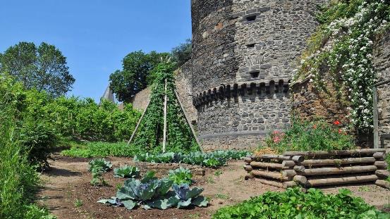 果蔬坡、豆类花架和菜地分布安德纳赫古城墙下。图片源自网络。 