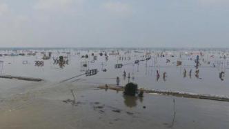 针对盘锦等地严重洪涝灾害，两部委启动国家Ⅳ级救灾应急响应
