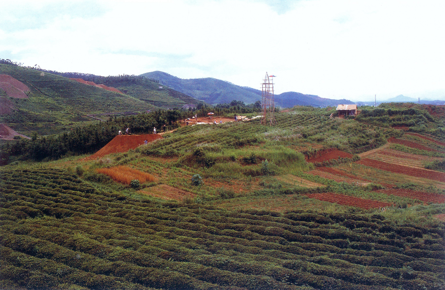瑶山1987年发掘场景（由西南往东北）