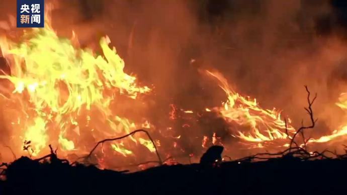 欧洲今年林火过火面积达有记录以来第二高