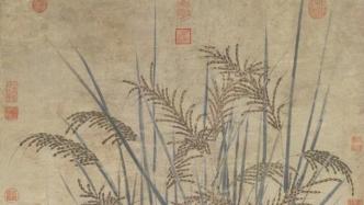 立秋｜故宫藏画里的嘉禾：谷穗、高粱与稷米……