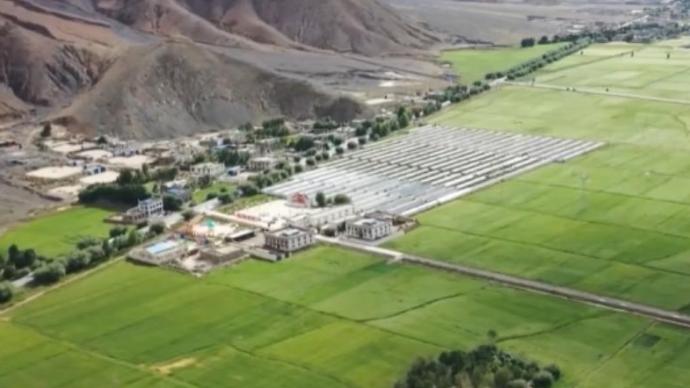 新疆特克斯：多彩山川，生态兴民；西藏白朗：打造高原特色现代农牧业强县