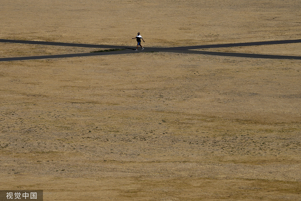 当地时间2022年8月9日，英国伦敦，一名男子走在格林威治公园干燥和被太阳晒焦的草地上。视觉中国 图