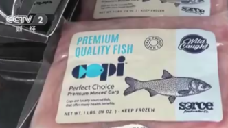 视频丨美国一州为亚洲鲤鱼更名，发动食客吃鱼解决泛滥威胁