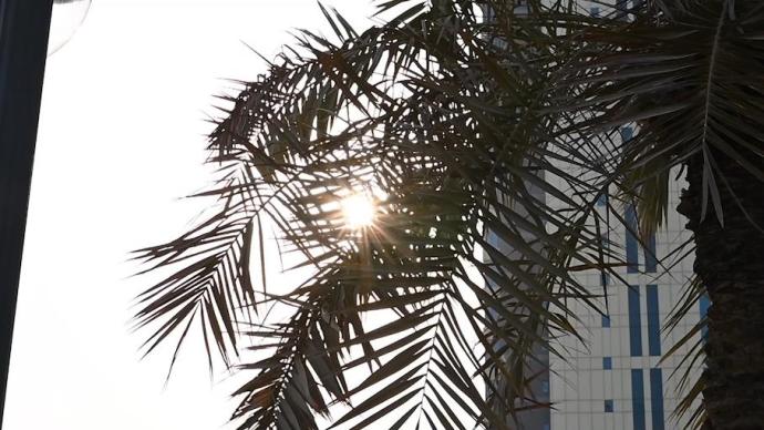 科威特迎高温天气，部分地区最高气温超50摄氏度