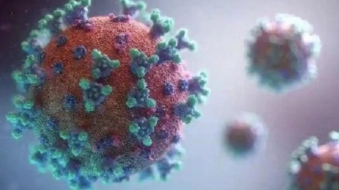 新抗體可中和新冠病毒目前已知所有變種，將催生新型新冠疫苗