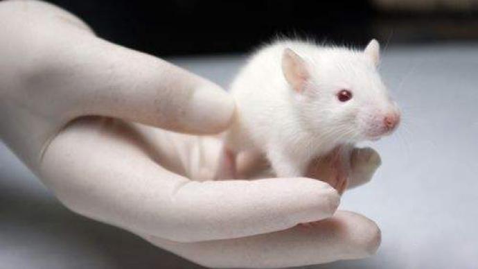 小鼠模型过时了吗？站在小鼠的肩膀上看“人类免疫”?