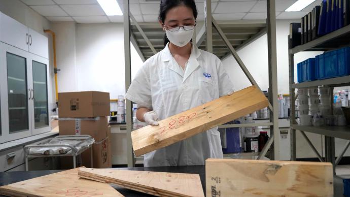 上海海关首次在进口木材大类中查获固体废物，已交缉私部门处置