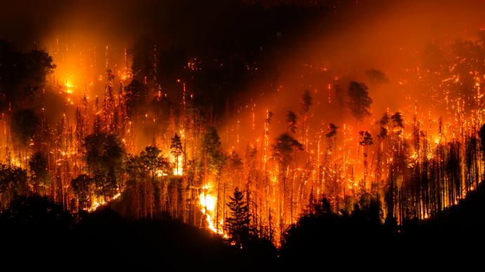 66萬公頃被燒！今年歐洲林火毀地面積創新高