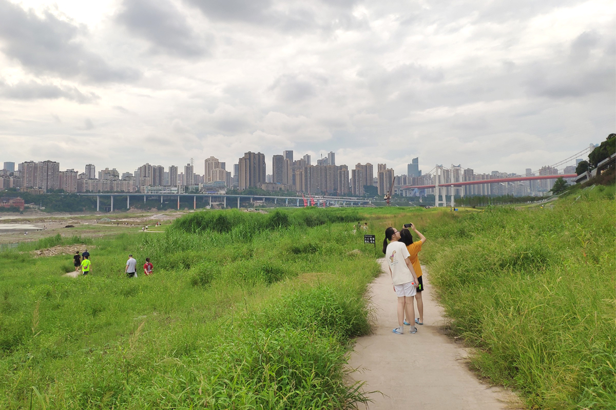 2022年7月23日，在重庆市南岸区南滨路，江水退散后犹如“内蒙古大草原”。