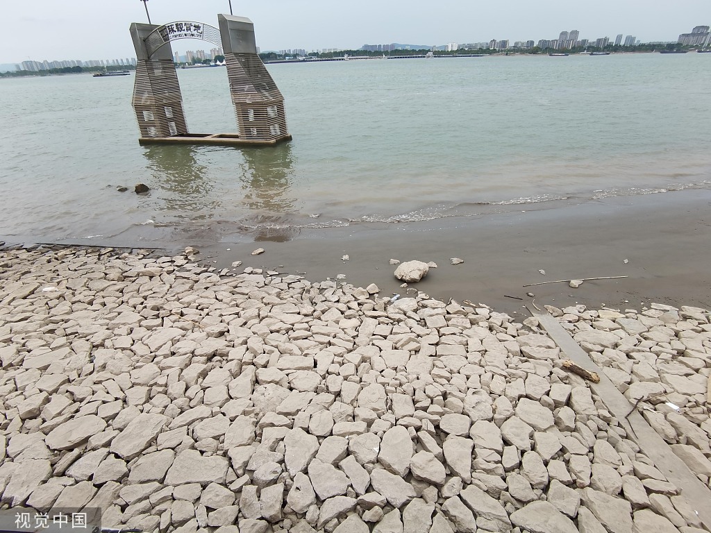2022年8月16日，南京，鼓楼区长江江滩大面积裸露。