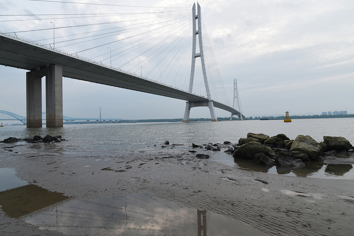 2022年8月16日，南京，长江南京段沿岸江滩大面积裸露。