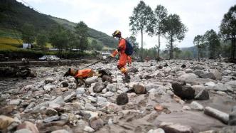 图集｜青海大通山洪灾害已16人死亡36人失联，救援正进行