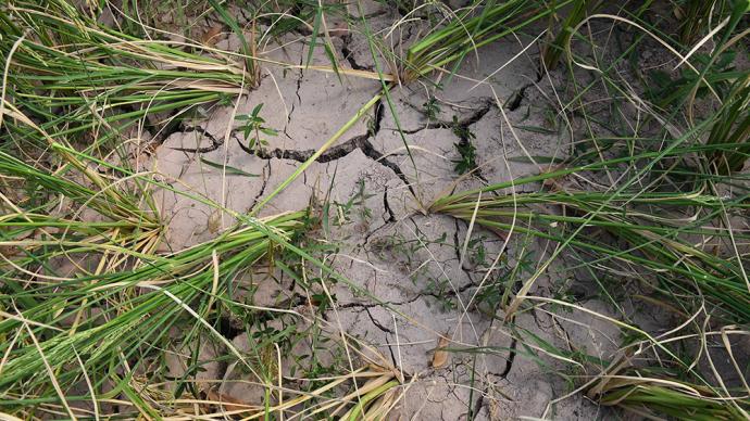今年首个气象干旱预警发布，多位专家就如何保障农业生产建言
