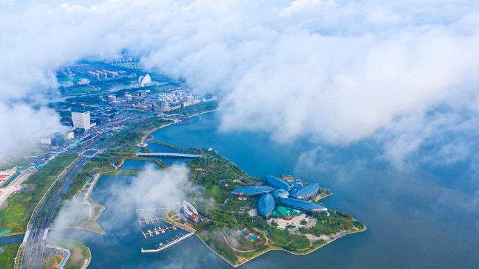 上海：8项政策支持临港进一步完善独立综合性城市功能体系