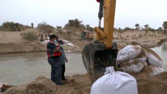塔里木河巴州段发生超警戒洪水，附近农民参与抢险