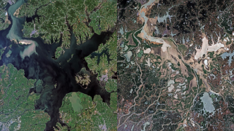 卫星影像：南方持续高温，鄱阳湖现“大地之树”景观