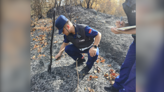 广安一村民丢烟头致火灾被处拘留十日，因其满70岁不予执行