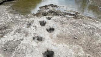 美国河流干旱露出1亿年前恐龙脚印，场面壮观