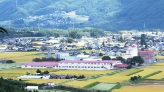 日本一小镇为留人出招！造房补贴200万日元，还送百斤大米